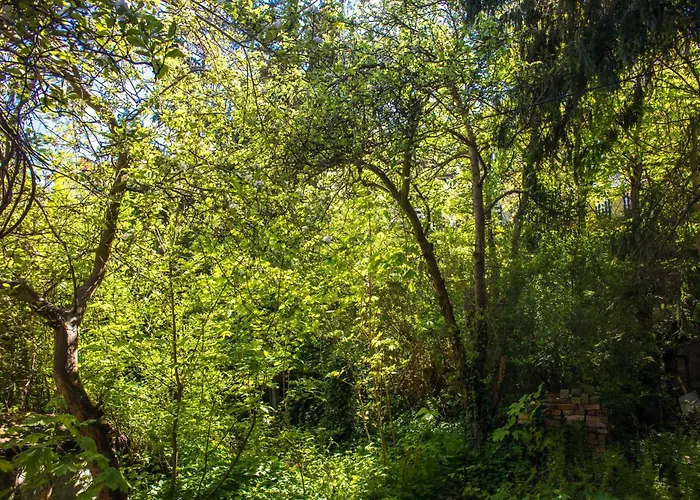 אכסניה Redlowo